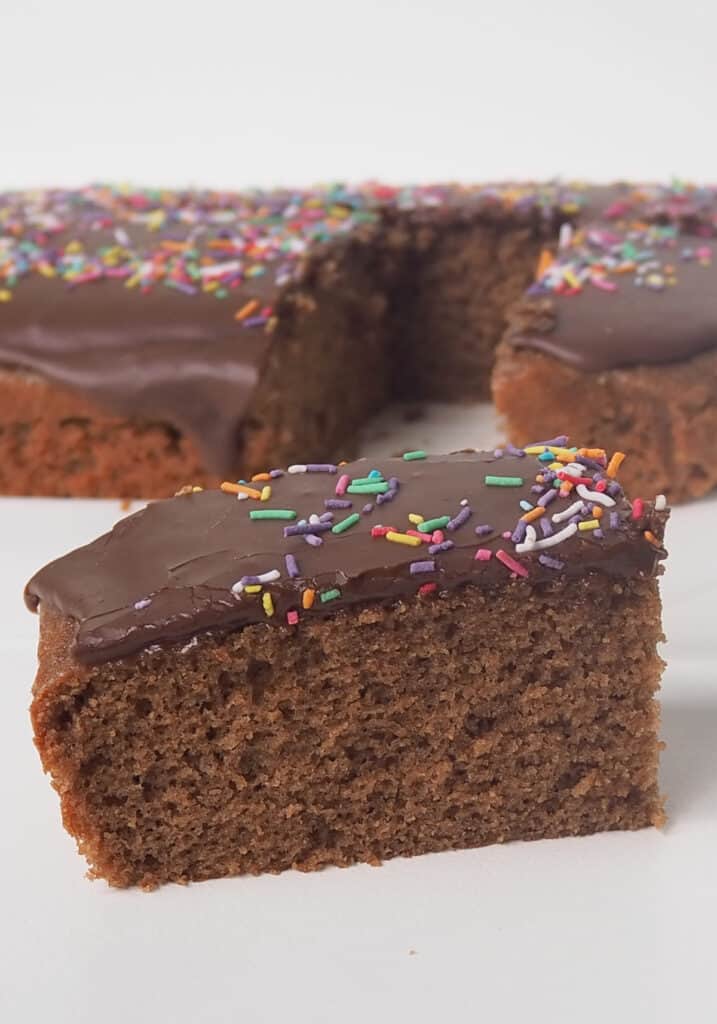Slice of Chocolate Cake iced with chocolate icing and sprinkles.