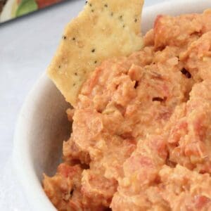 A bowl of capsicum dip with a cracker in it.