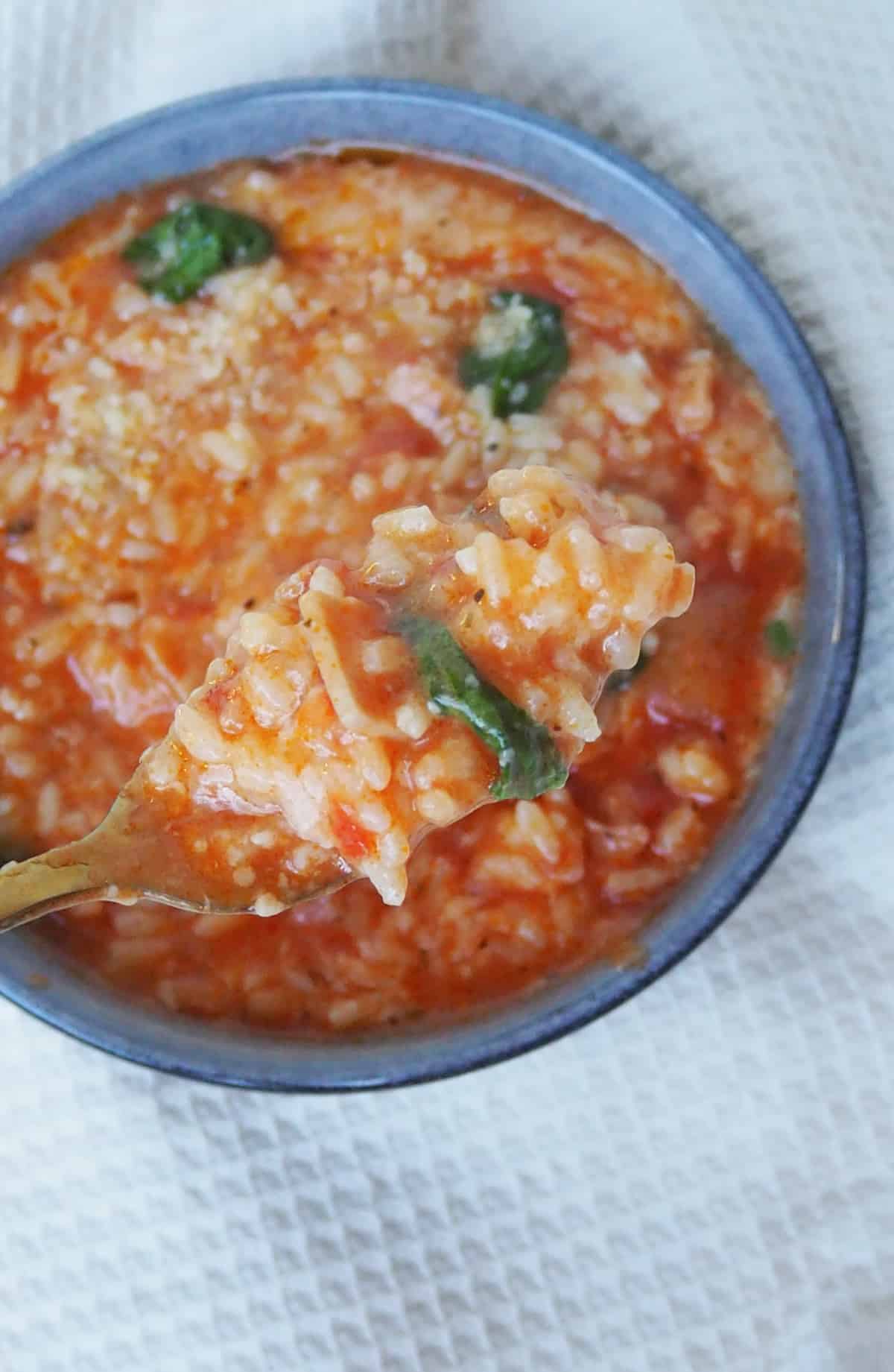 Fork holding up Thermomix Bacon and Tomato Risotto.