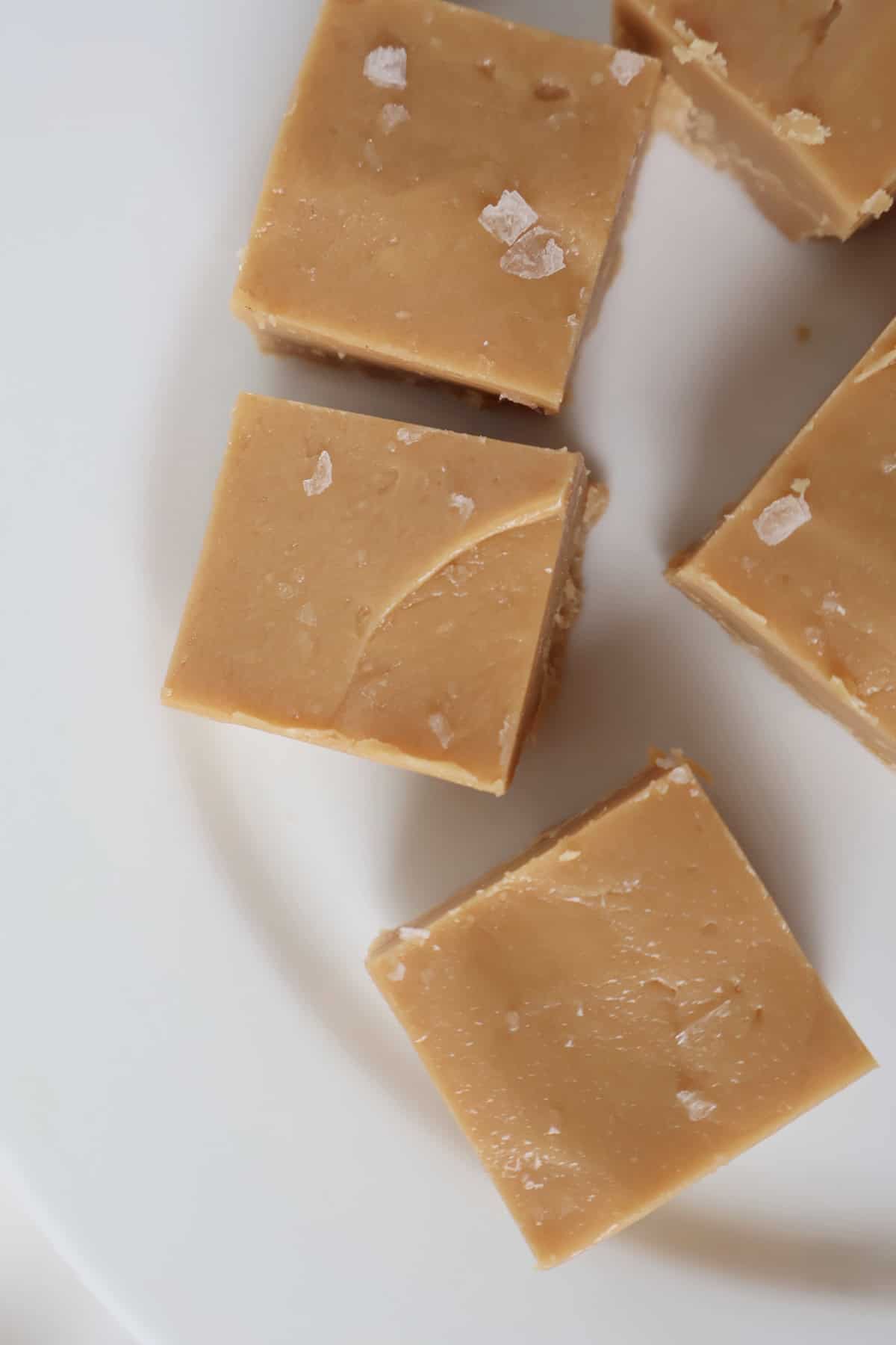 Overhead view of salted caramel fudge pieces on a white plate.